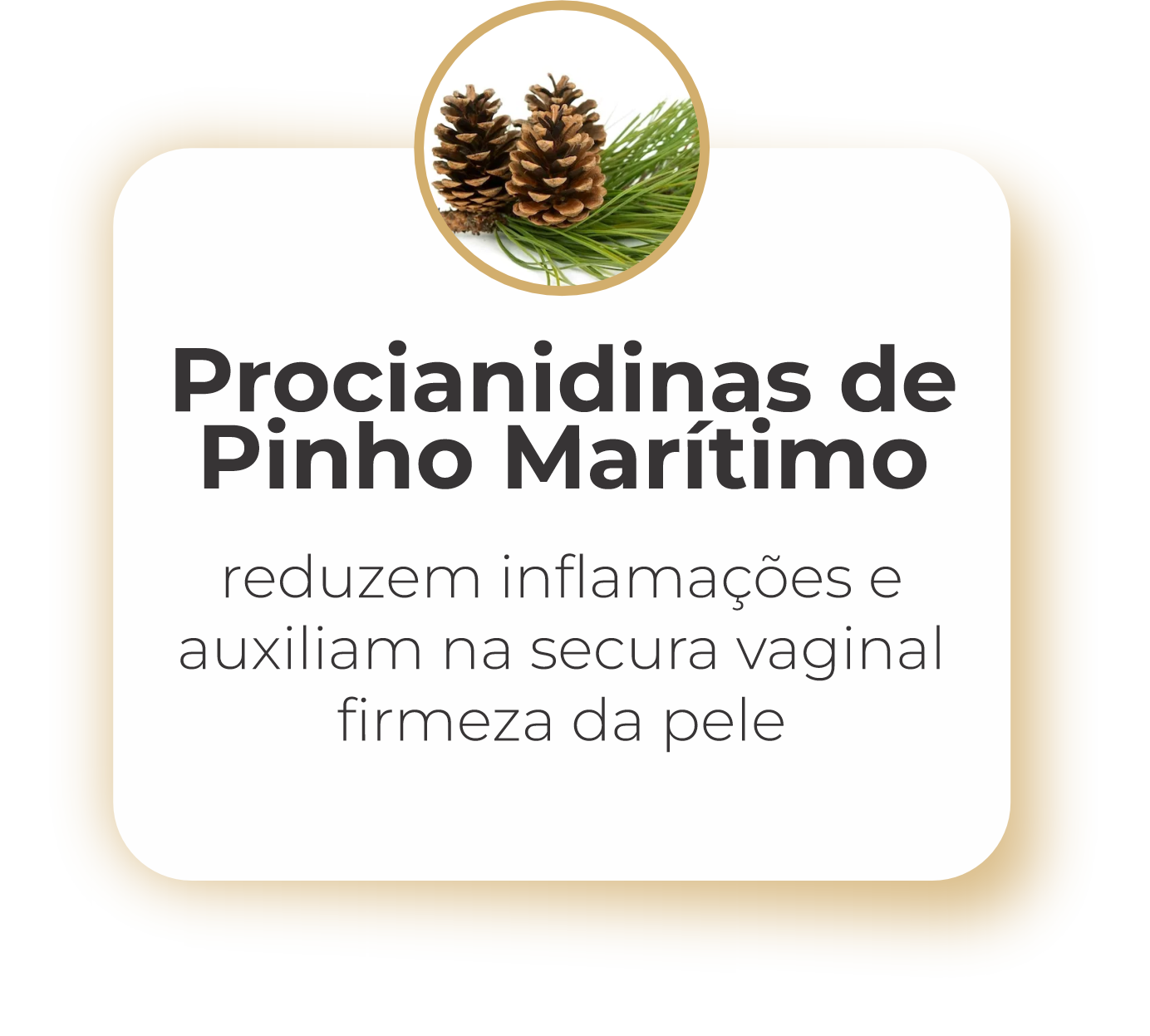 procaniodes